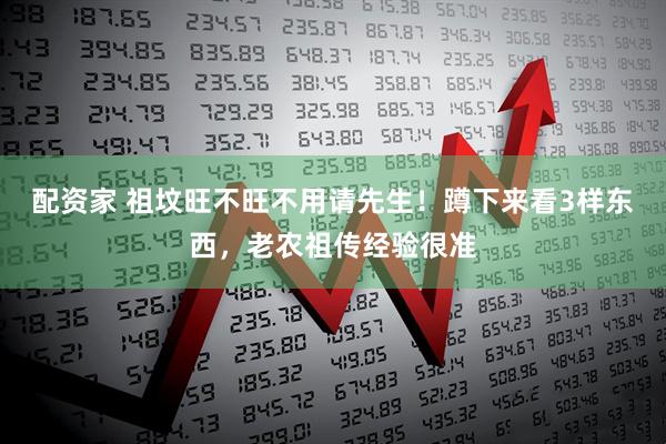 配资家 祖坟旺不旺不用请先生!蹲下来看3样东西,老农祖传经验很准