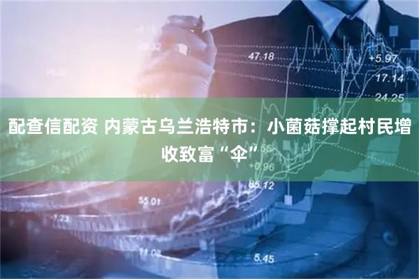配查信配资 内蒙古乌兰浩特市：小菌菇撑起村民增收致富“伞”