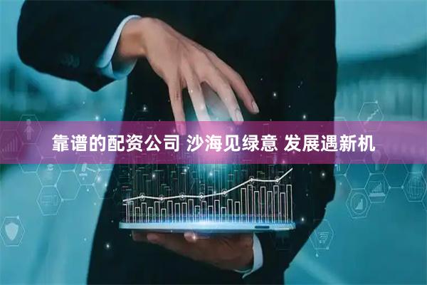 靠谱的配资公司 沙海见绿意 发展遇新机
